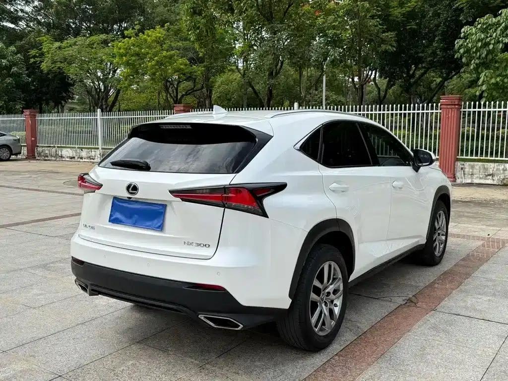 Lexus NX 2018 300 AWD Sport Edition — миниатюра 3