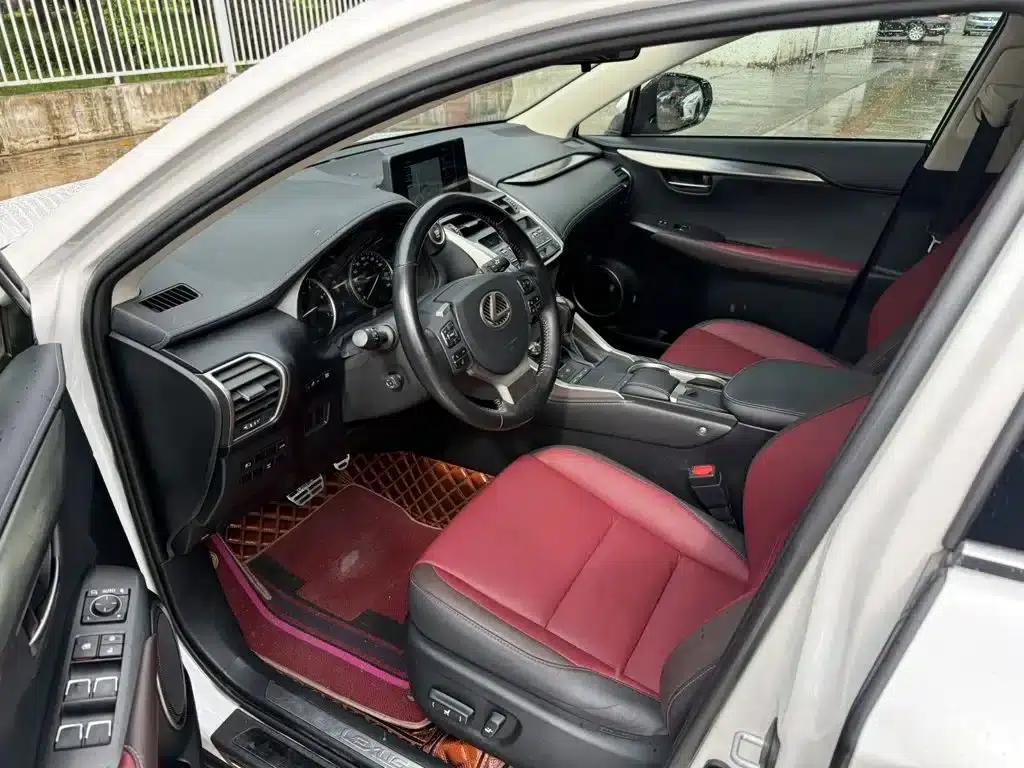 Lexus NX 2018 300 AWD Sport Edition — миниатюра 4