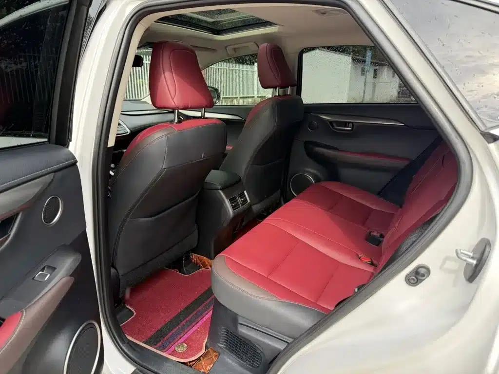 Lexus NX 2018 300 AWD Sport Edition — миниатюра 5