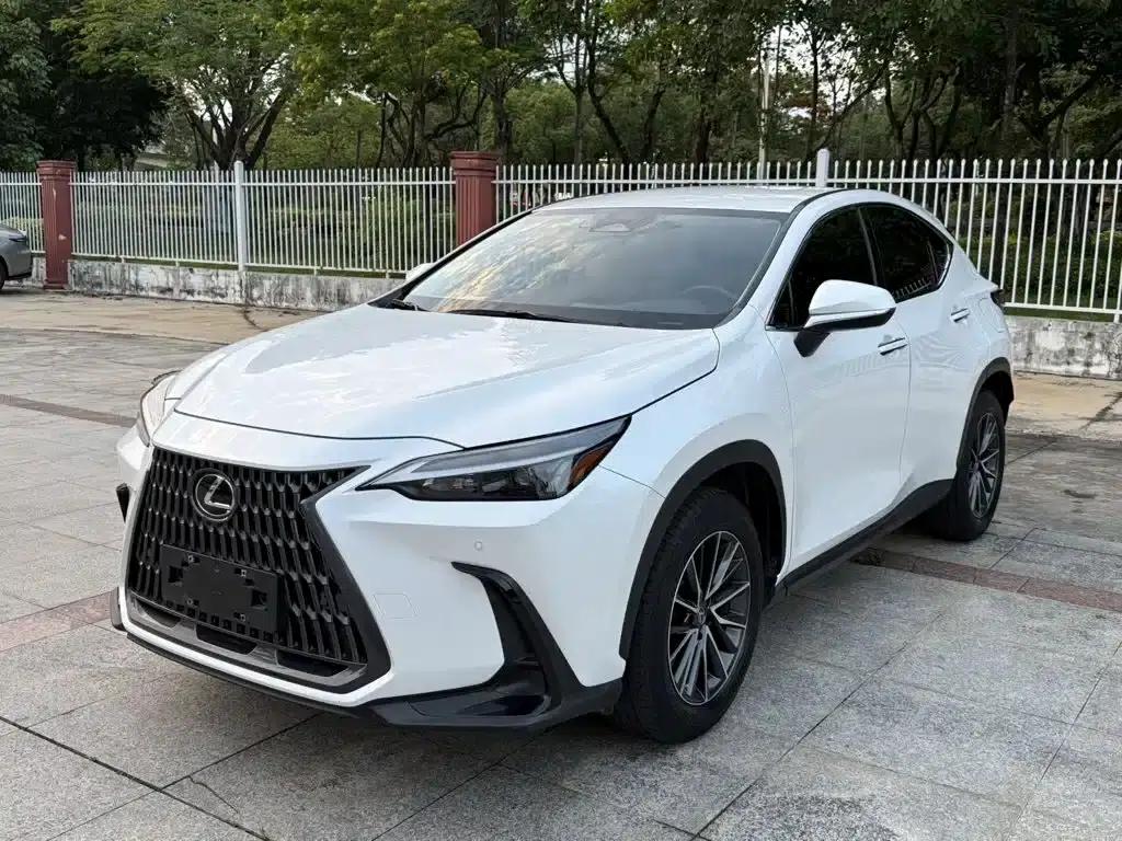 Lexus NX 2022 260 AWD Skyactiv-G — миниатюра 1