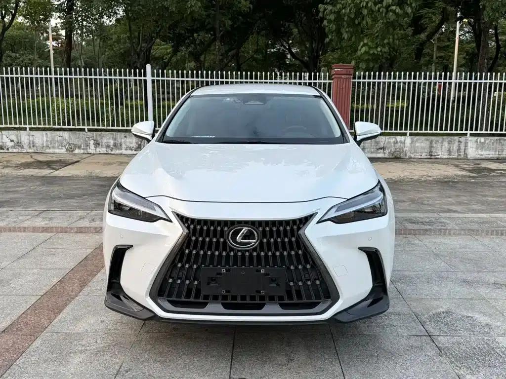 Lexus NX 2022 260 AWD Skyactiv-G — миниатюра 2