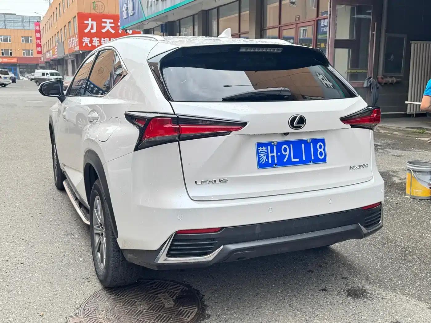 Lexus NX 2020 200 AWD Sport Edition (China VI Emission Standard) — миниатюра 4
