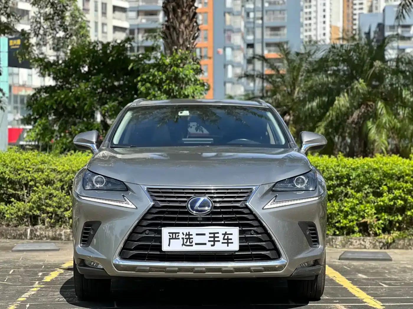 Lexus NX 2018 300h FWD Sport Edition (China V Emission Standard) — миниатюра 2