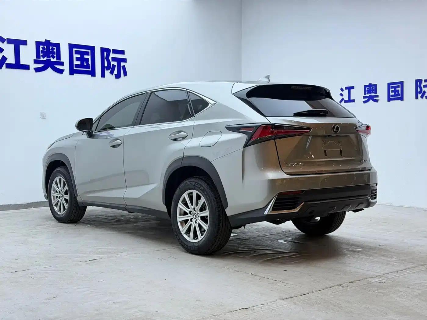 Lexus NX 2018 200 FWD Sport Edition (China V Emission Standard) — миниатюра 22