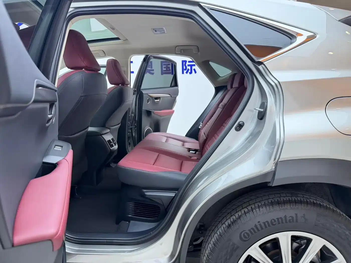 Lexus NX 2018 200 AWD Sport Edition (China V Emission Standard) — миниатюра 13