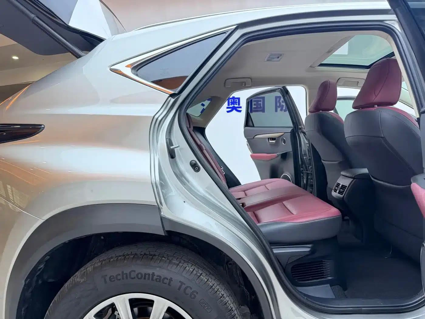 Lexus NX 2018 200 AWD Sport Edition (China V Emission Standard) — миниатюра 21