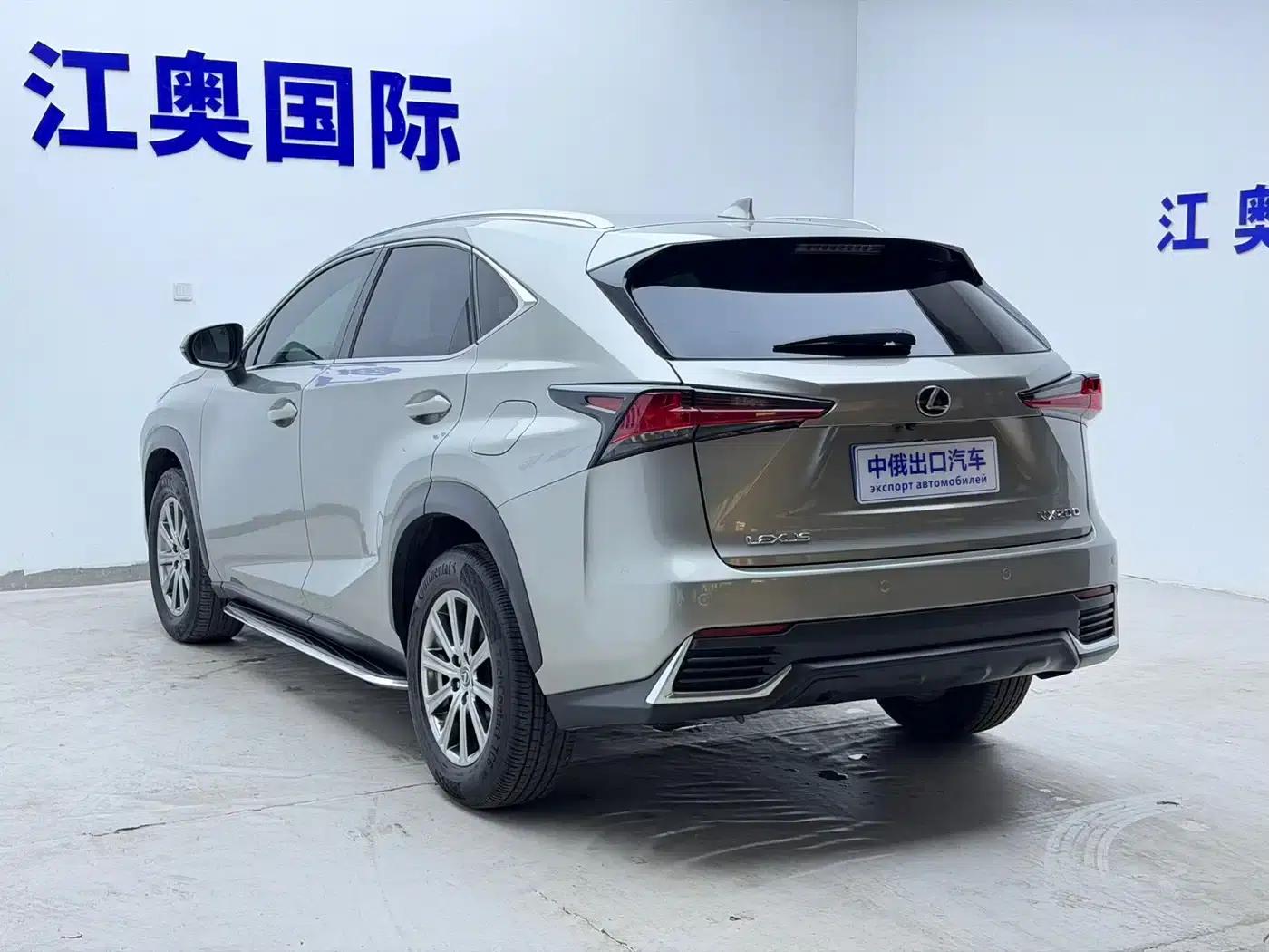 Lexus NX 2018 200 AWD Sport Edition (China V Emission Standard) — миниатюра 22