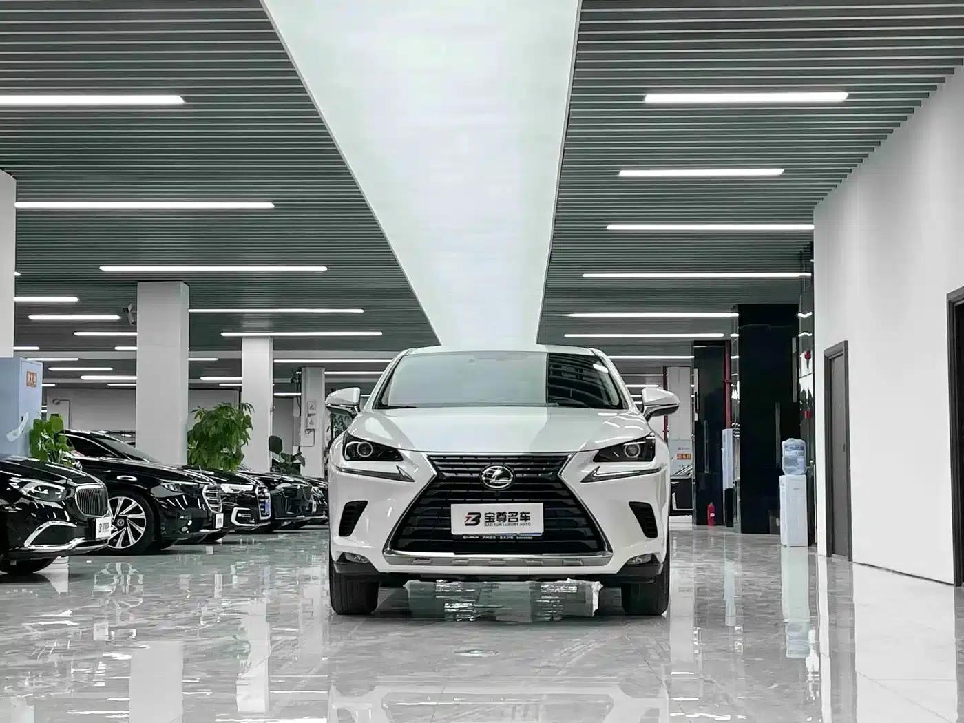 Lexus NX 2018 200 FWD Sport Edition (China V Emission Standard) — миниатюра 2