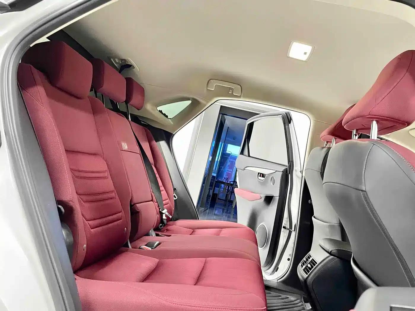 Lexus NX 2018 200 FWD Sport Edition (China V Emission Standard) — миниатюра 5