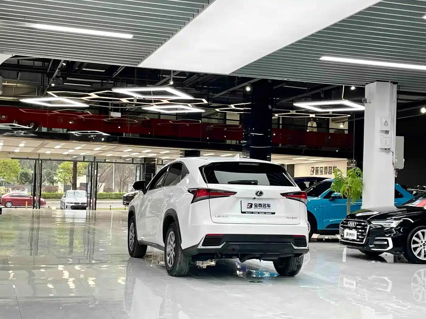 Lexus NX 2018 200 FWD Sport Edition (China V Emission Standard) — миниатюра 10
