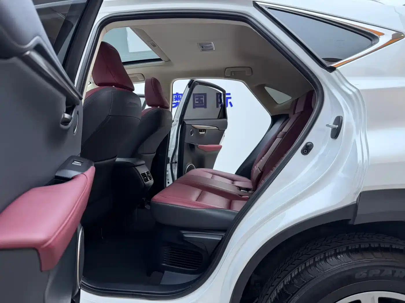 Lexus NX 2020 200 AWD Sport Edition (China V Emission Standard) — миниатюра 13