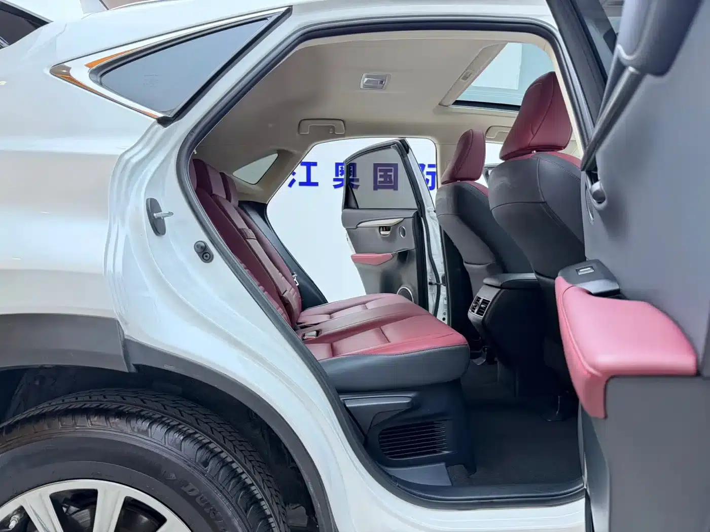Lexus NX 2020 200 AWD Sport Edition (China V Emission Standard) — миниатюра 18