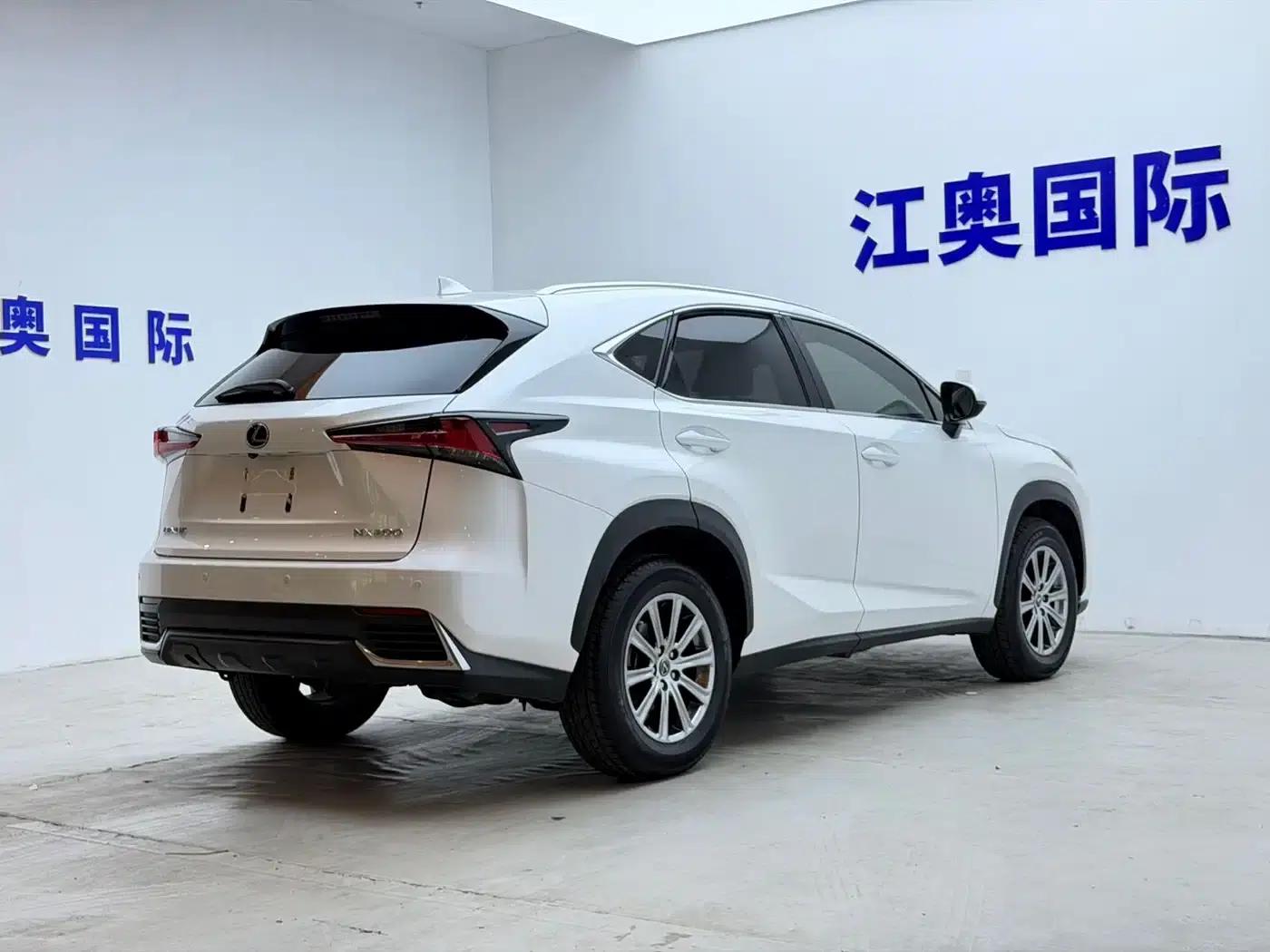 Lexus NX 2020 200 AWD Sport Edition (China V Emission Standard) — миниатюра 19