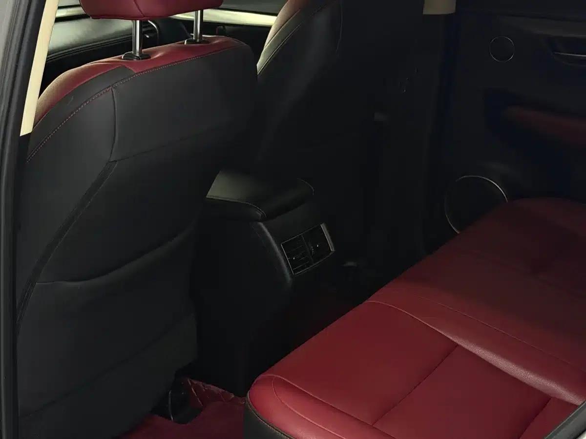 Lexus NX 2020 200 AWD Sport Edition (China V Emission Standard) — миниатюра 13
