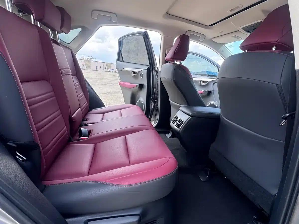 Lexus NX 2020 200 AWD Sport Edition (China V Emission Standard) — миниатюра 22