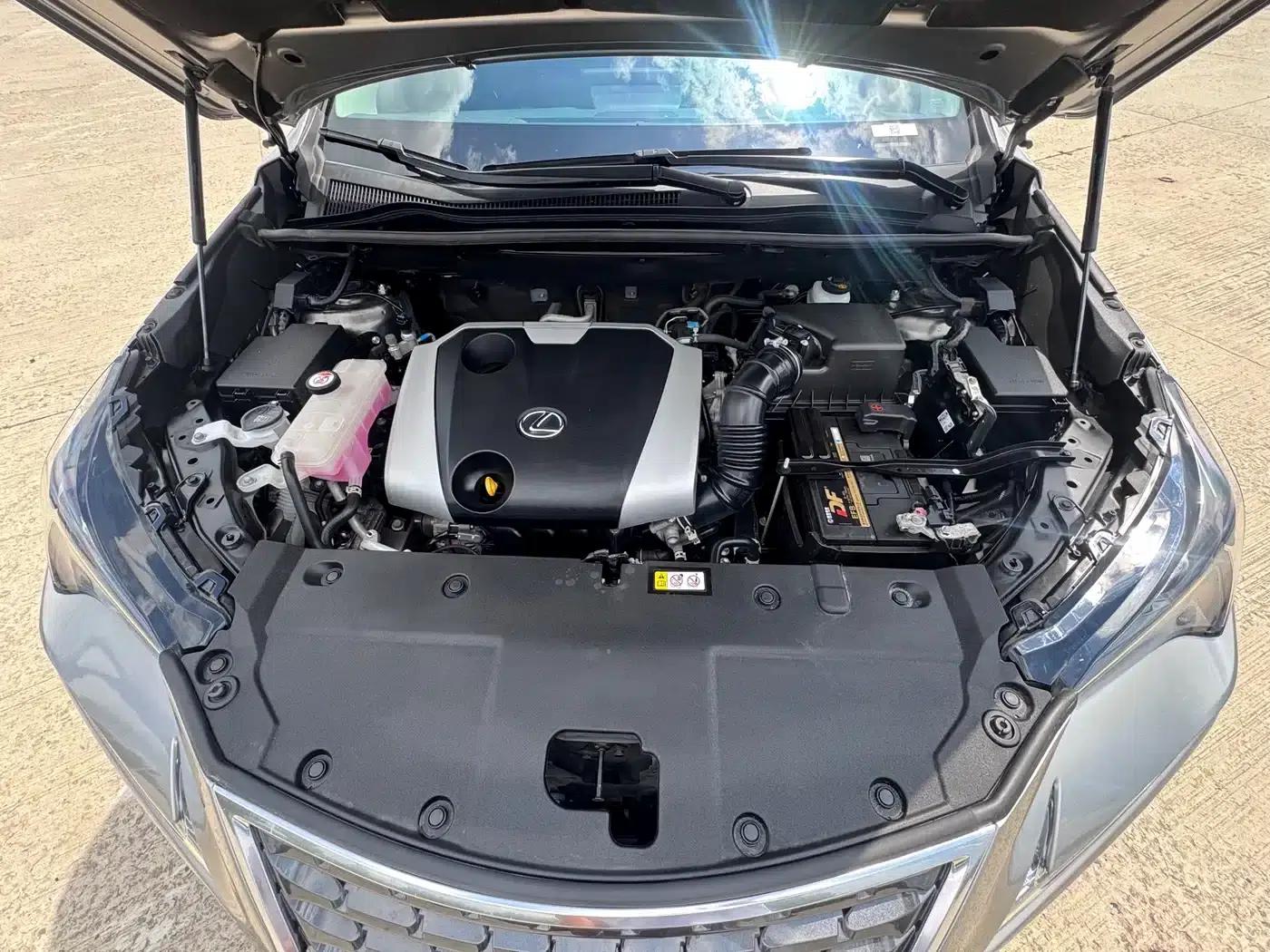 Lexus NX 2020 200 AWD Sport Edition (China V Emission Standard) — миниатюра 8