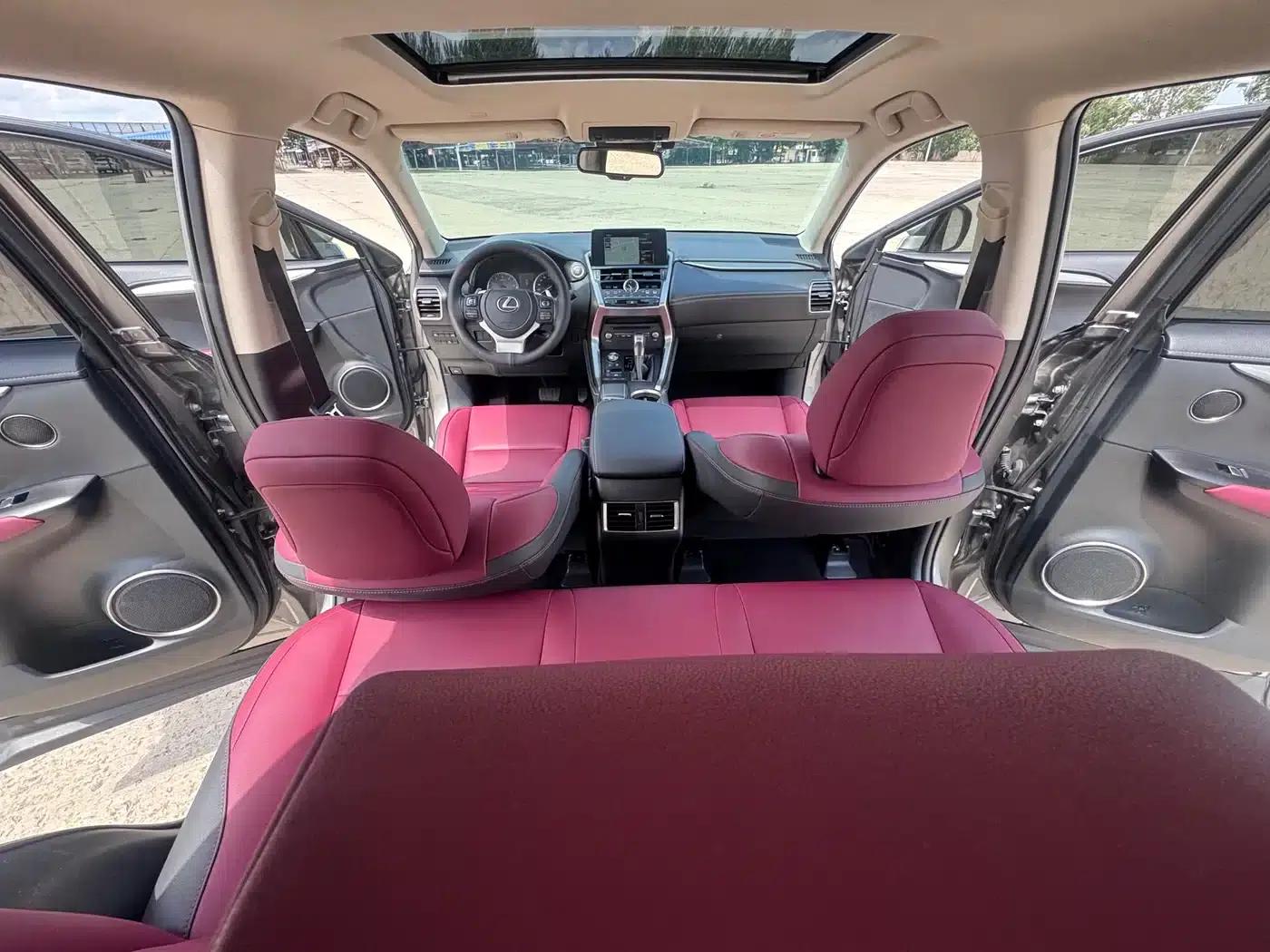 Lexus NX 2020 200 AWD Sport Edition (China V Emission Standard) — миниатюра 9