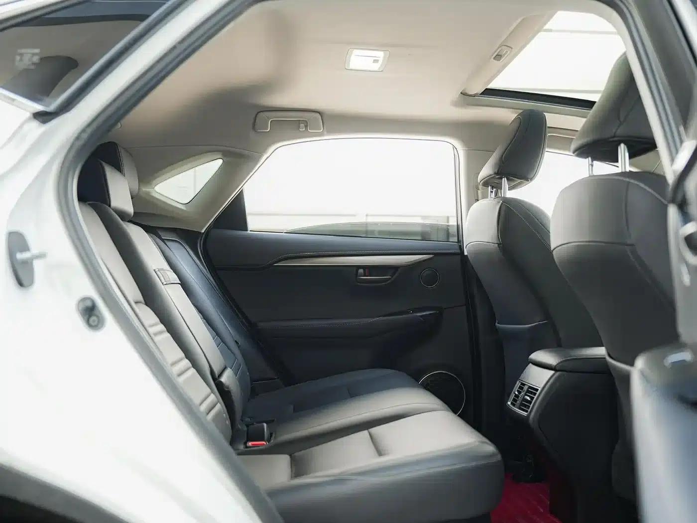 Lexus NX 2018 300h FWD Sport Edition (China V Emission Standard) — миниатюра 14
