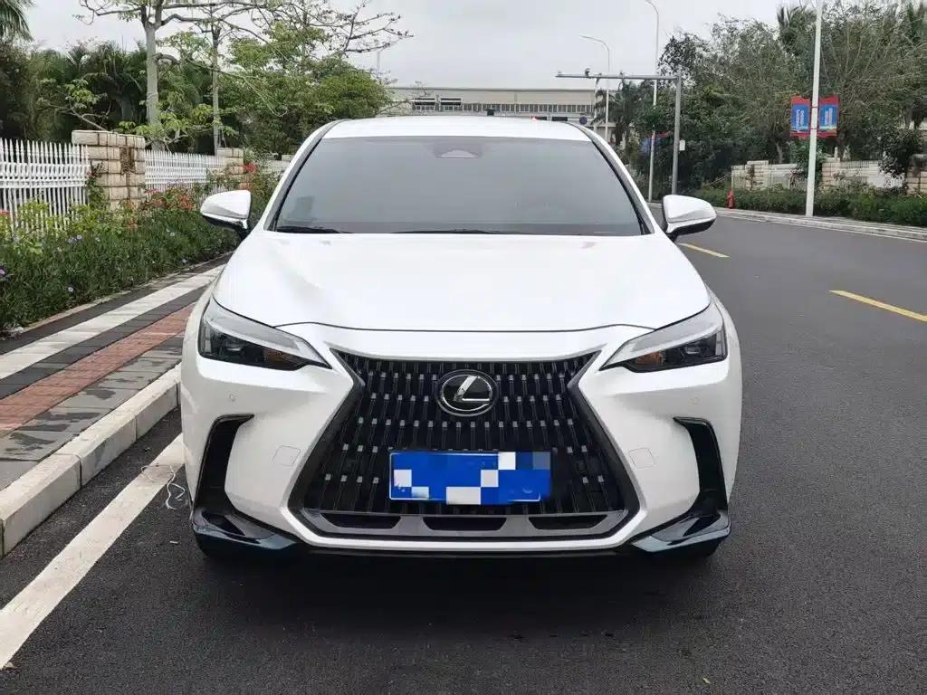 Lexus NX 2022 260 AWD Skyactiv-G — миниатюра 2