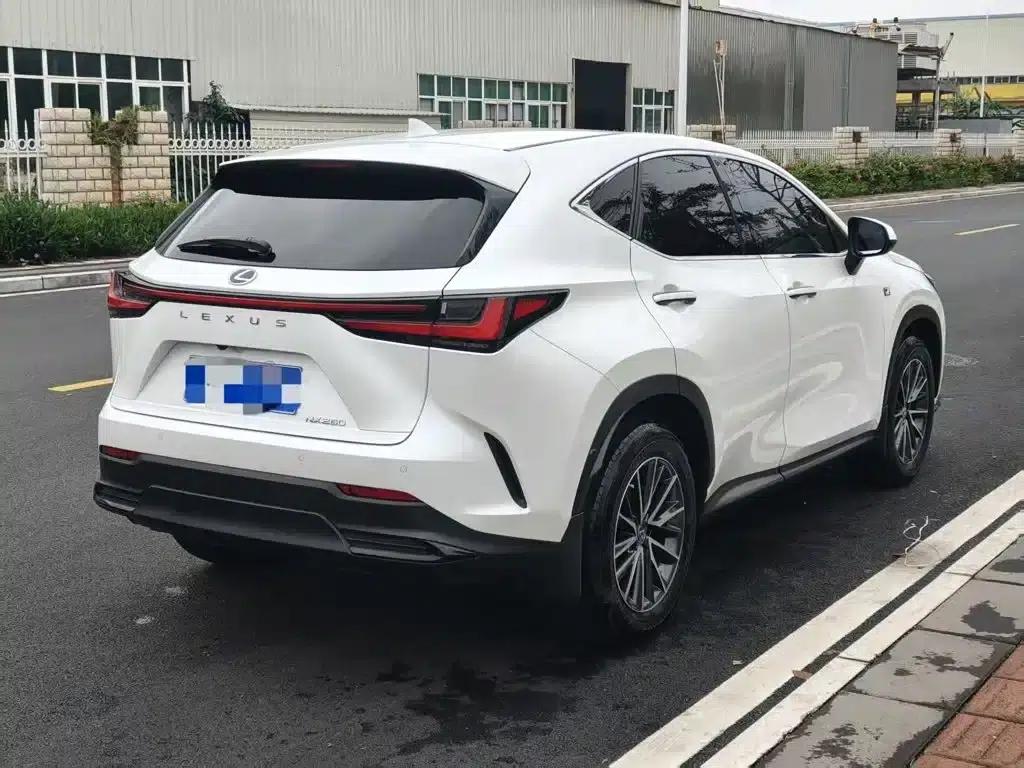 Lexus NX 2022 260 AWD Skyactiv-G — миниатюра 9