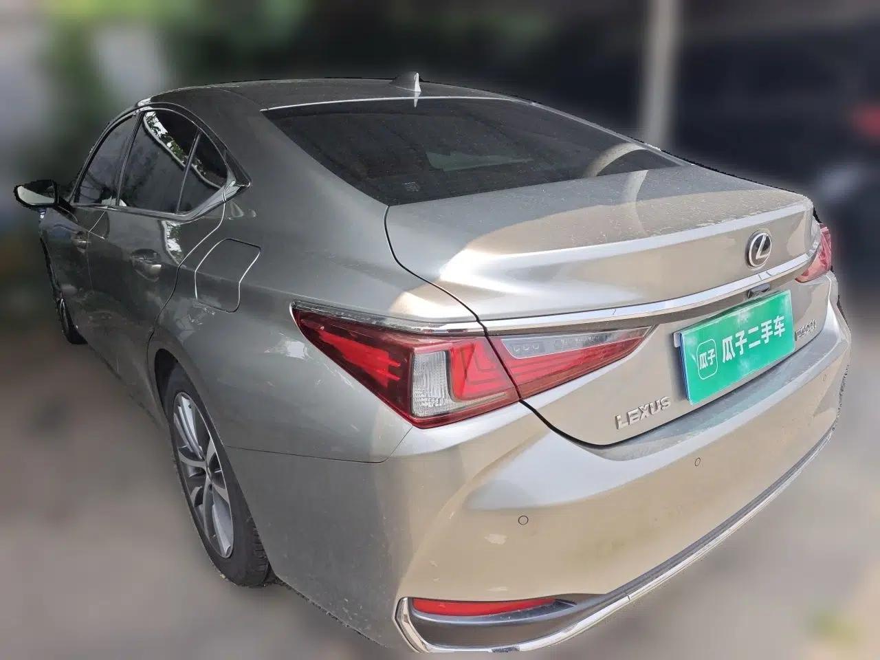 Lexus ES 2018 200 Luxury Edition China V Standard — миниатюра 4