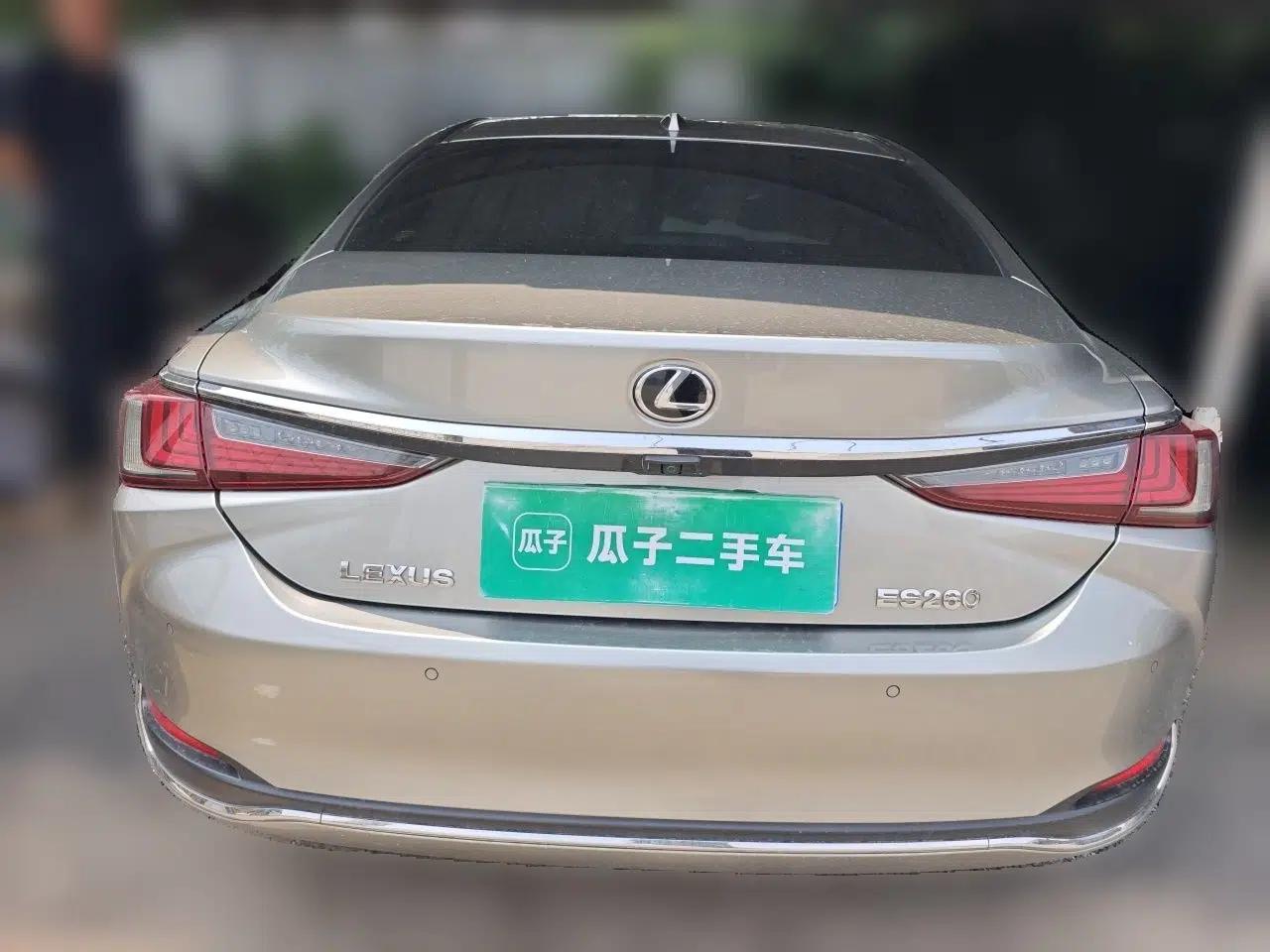 Lexus ES 2018 200 Luxury Edition China V Standard — миниатюра 5