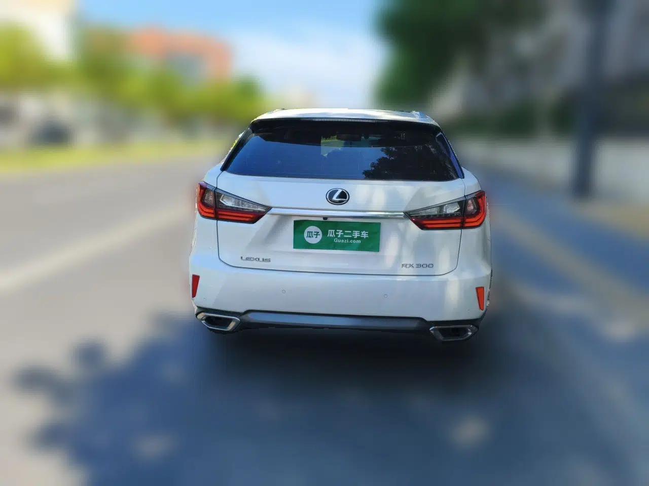 Lexus RX 2016 300 Two-Wheel Drive Elite Version China V Standard — миниатюра 5