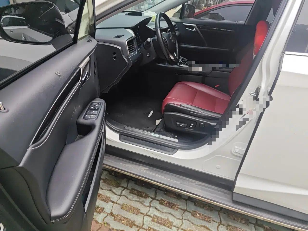Lexus RX 2016 300 Two-Wheel Drive Elite Version China V Standard — миниатюра 19