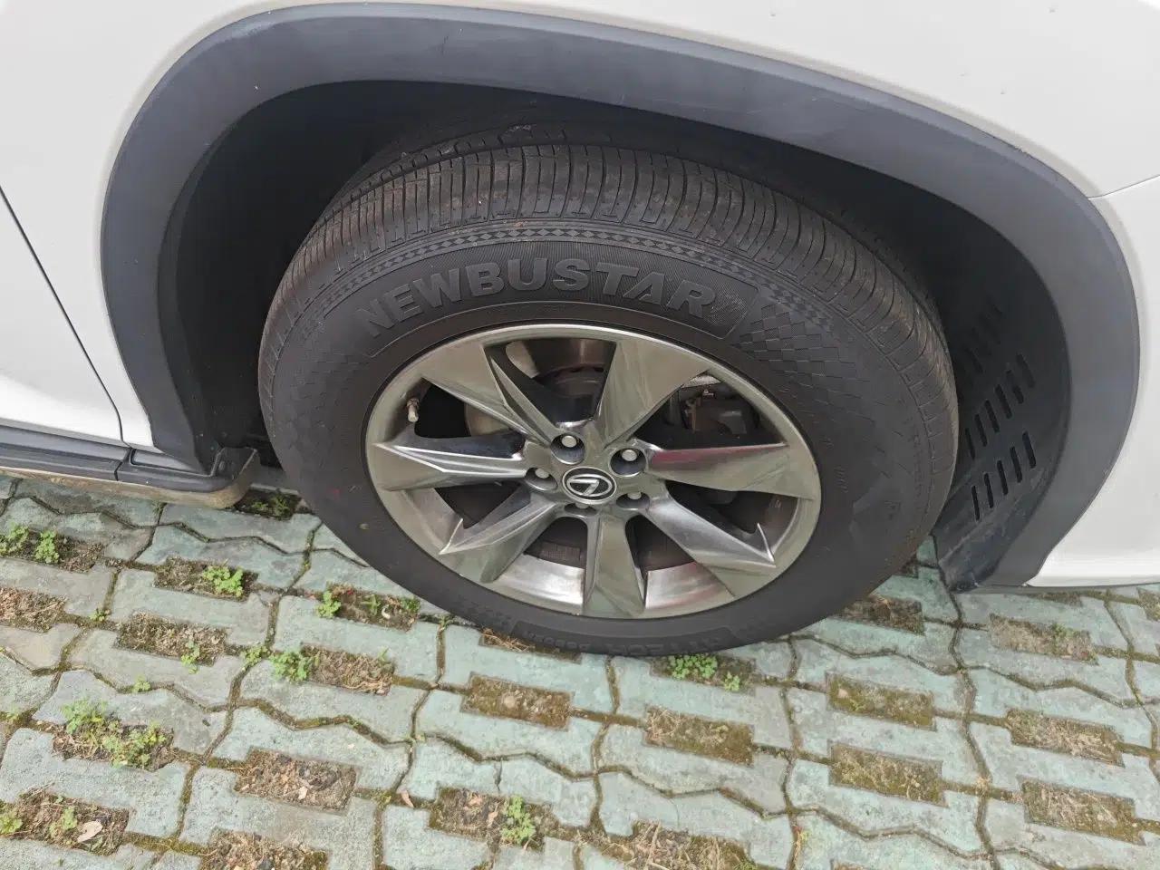 Lexus RX 2016 300 Two-Wheel Drive Elite Version China V Standard — миниатюра 8