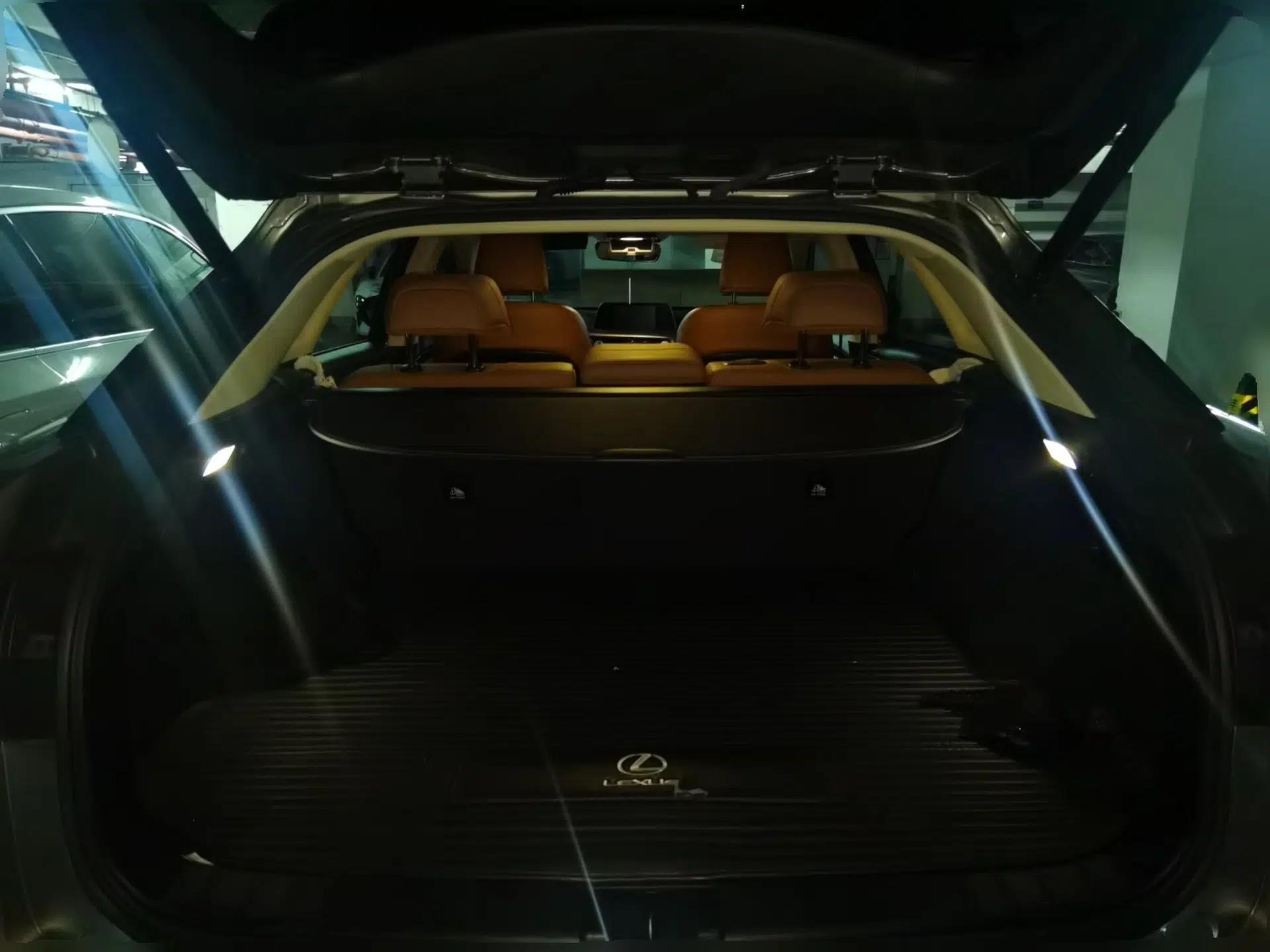 Lexus RX 2020 Revised Version 300 Two-Wheel Drive Comfort Edition — миниатюра 19