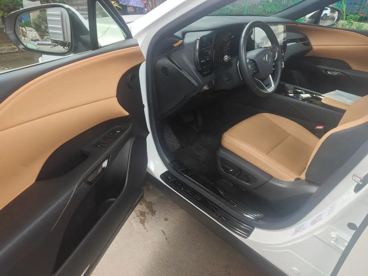 Lexus RX 2023 350h Two-Wheel Drive Comfort Edition — миниатюра 16
