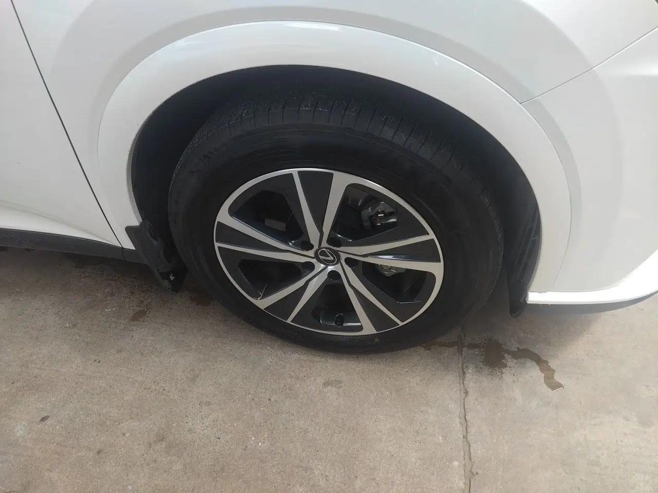 Lexus RX 2023 350h Two-Wheel Drive Comfort Edition — миниатюра 8