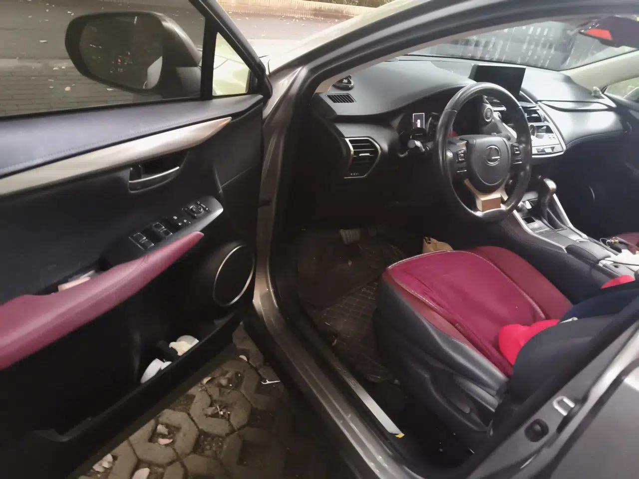 Lexus NX 2020 200 Front-Wheel Drive Freeline Edition China VI Standard — миниатюра 16