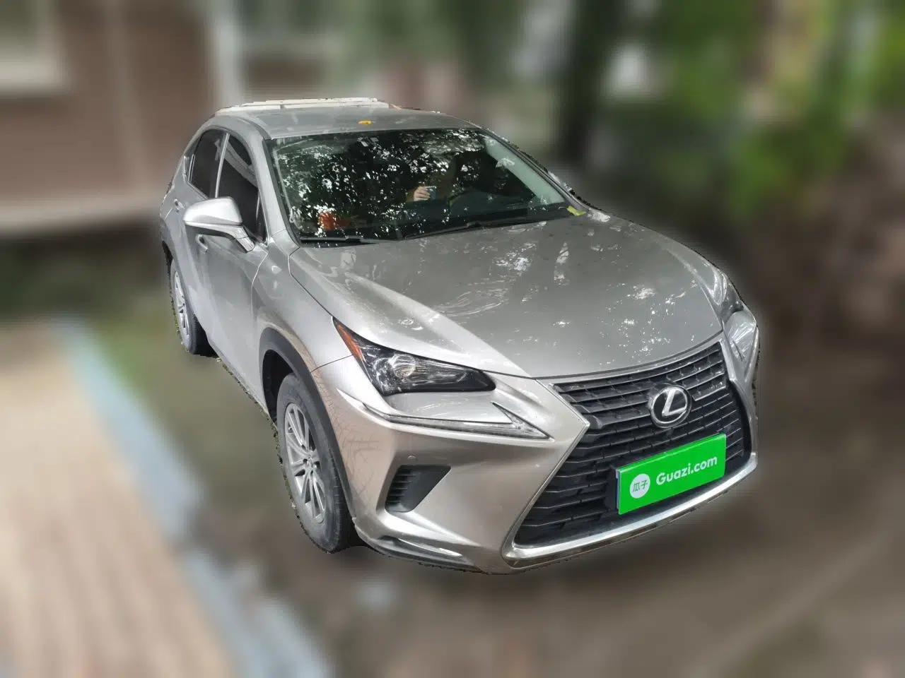 Lexus NX 2020 200 Front-Wheel Drive Freeline Edition China VI Standard — миниатюра 3