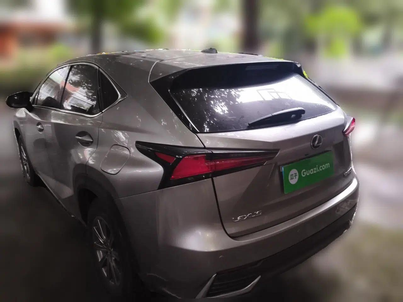 Lexus NX 2020 200 Front-Wheel Drive Freeline Edition China VI Standard — миниатюра 4