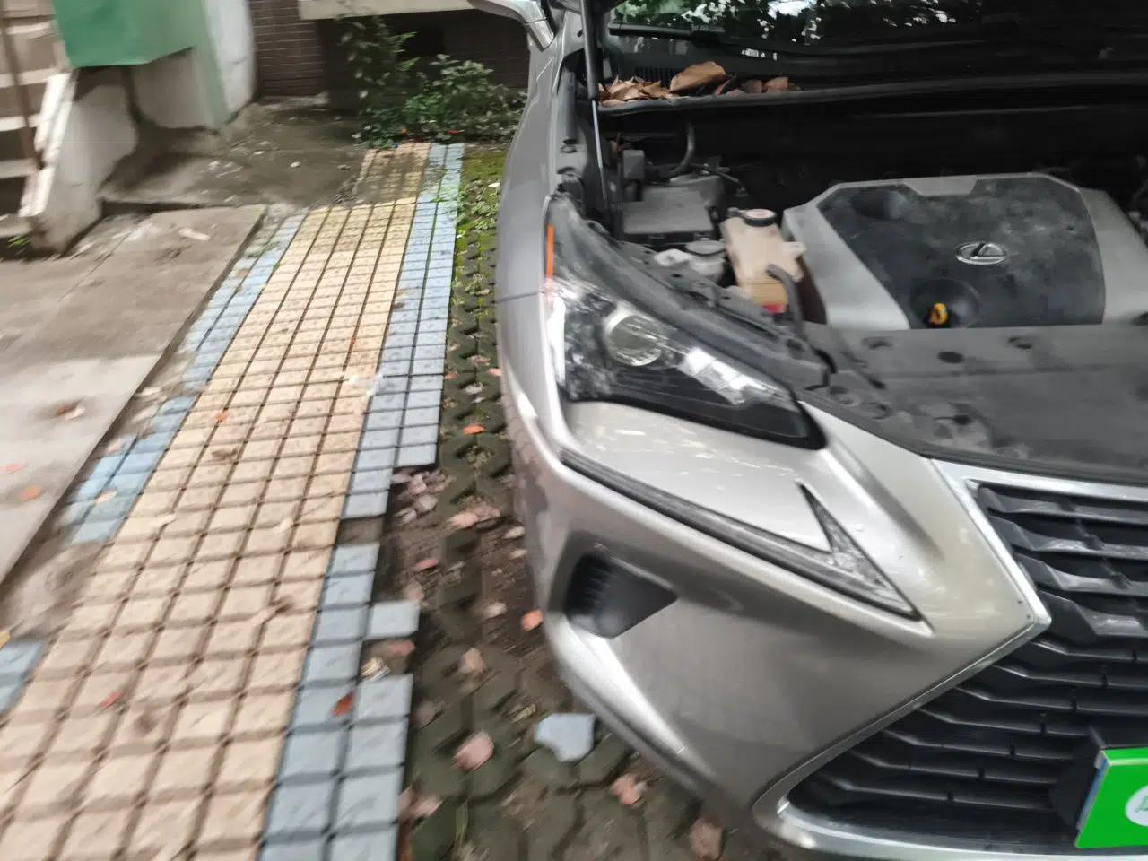 Lexus NX 2020 200 Front-Wheel Drive Freeline Edition China VI Standard — миниатюра 7