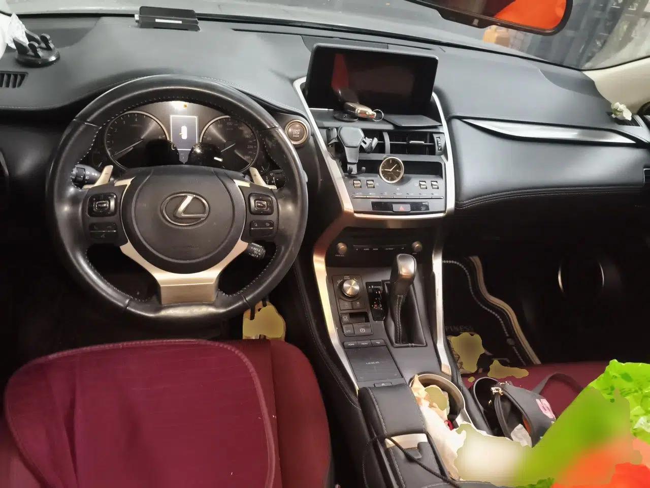 Lexus NX 2020 200 Front-Wheel Drive Freeline Edition China VI Standard — миниатюра 9