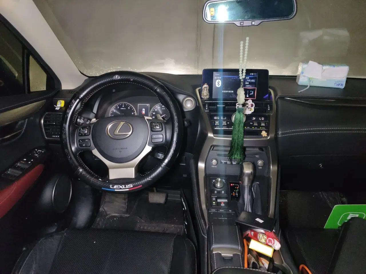 Lexus NX 2020 200 Front-Wheel Drive Freeline Edition China VI Standard — миниатюра 13