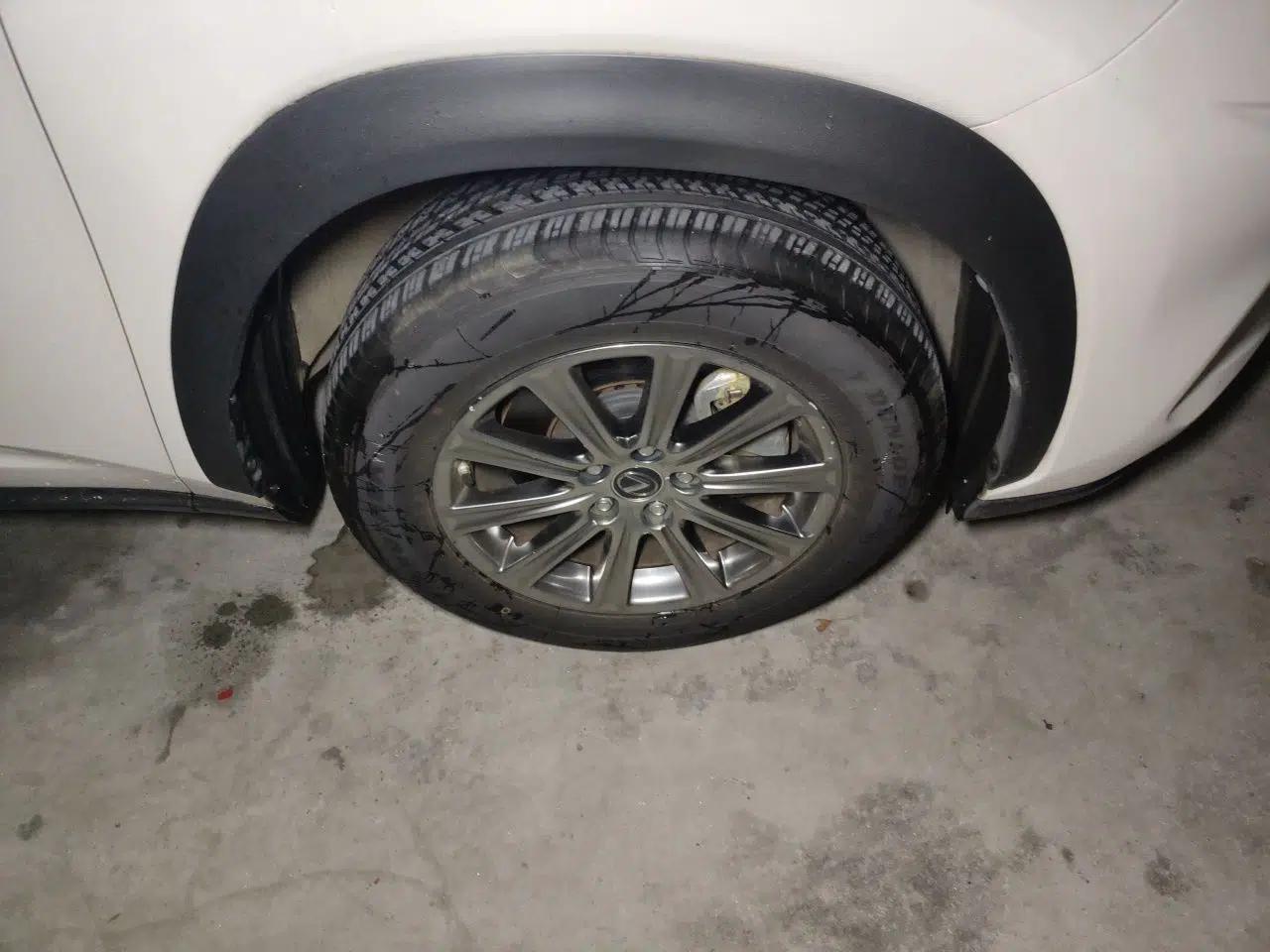 Lexus NX 2020 200 Front-Wheel Drive Freeline Edition China VI Standard — миниатюра 8