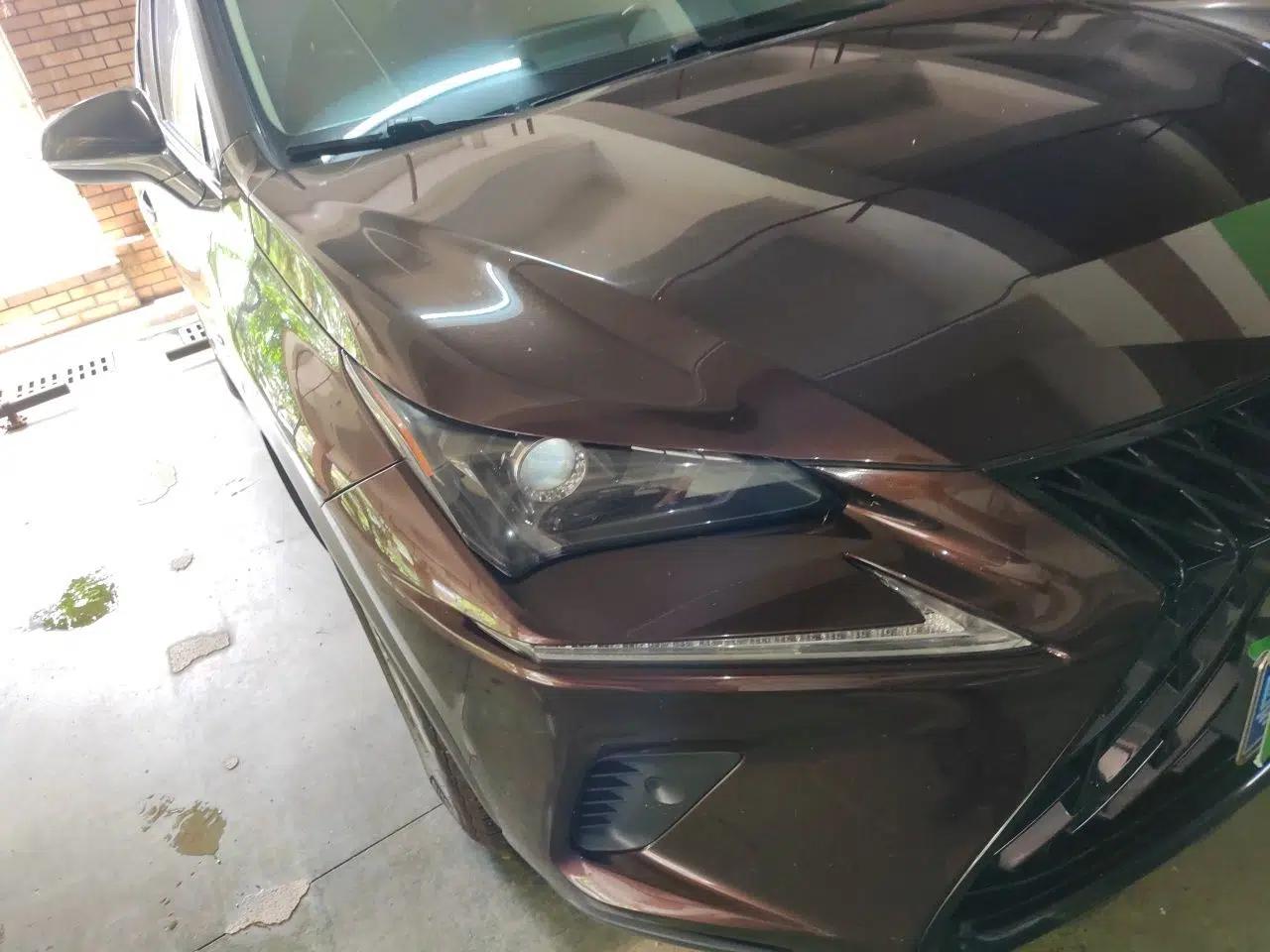 Lexus NX 2017 300 Front-Wheel-Drive Limited Edition — миниатюра 7
