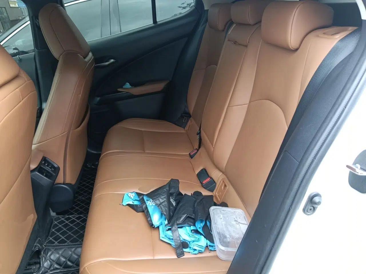 Lexus UX 2019 260h Explore-Cool Edition China VI Standard — миниатюра 17