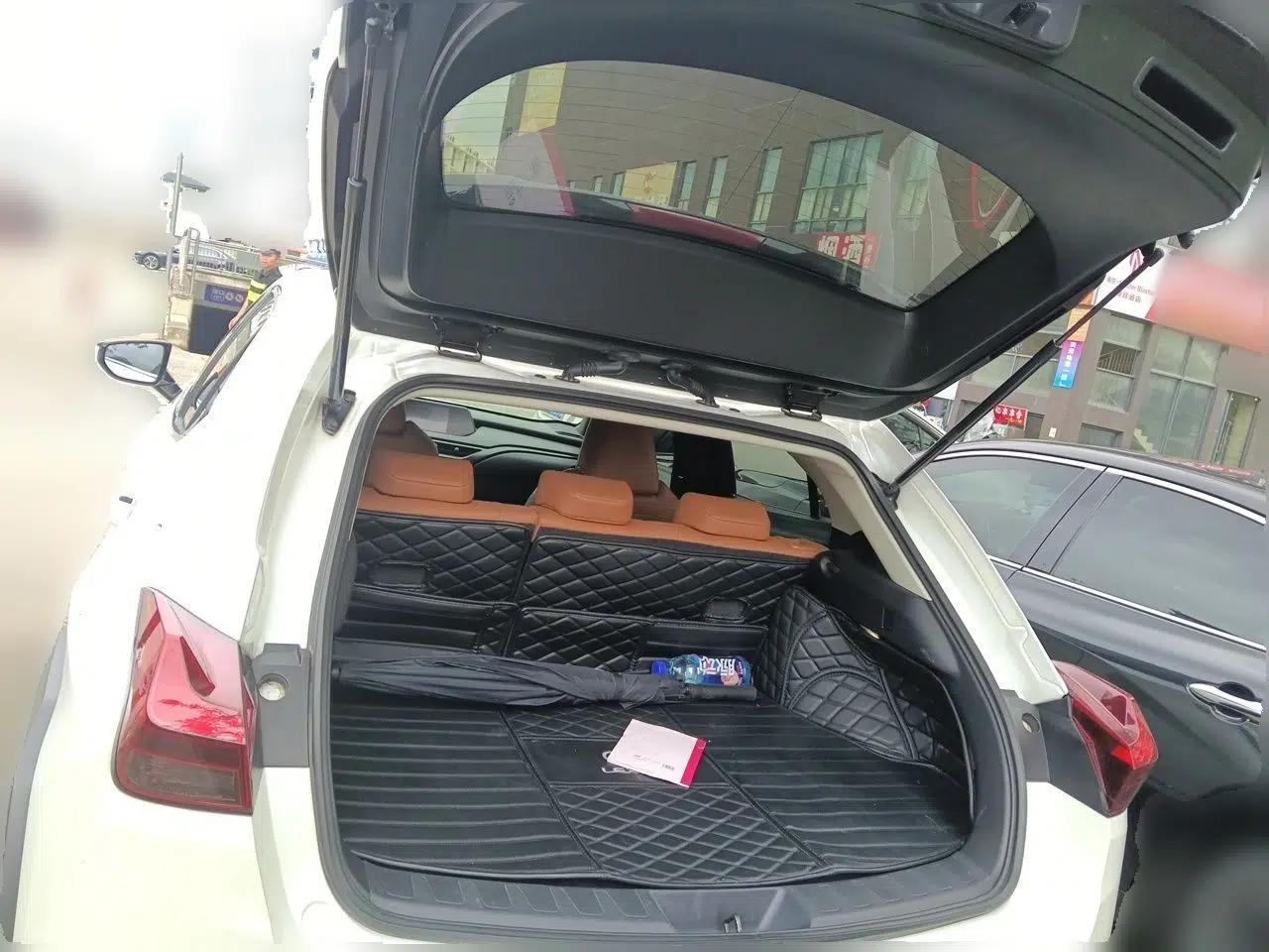 Lexus UX 2019 260h Explore-Cool Edition China VI Standard — миниатюра 19