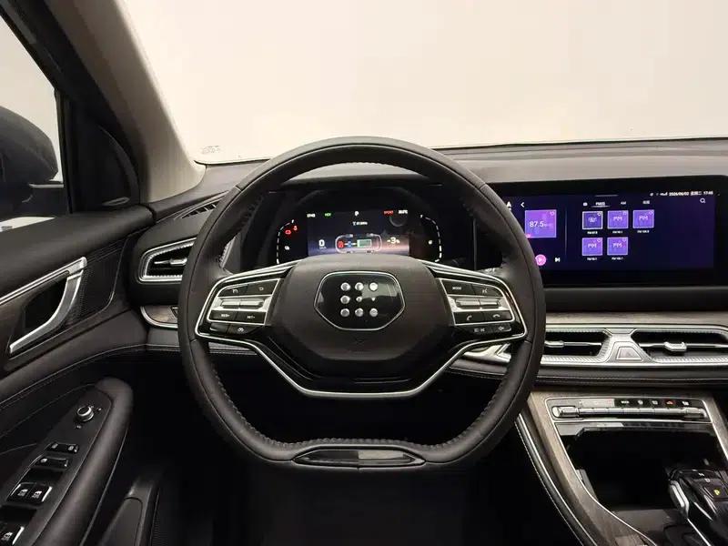 Blue Electric E5 2023 1.5L DE-i Enjoy Edition — миниатюра 16