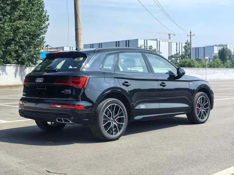 Audi Q5L 2025 quattro 45th Anniversary Edition 45TFSI Luxury Dynamic — миниатюра 6
