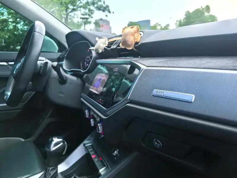 Audi Q3 Sportback 2021 40 TFSI Enjoy Life Edition — миниатюра 25