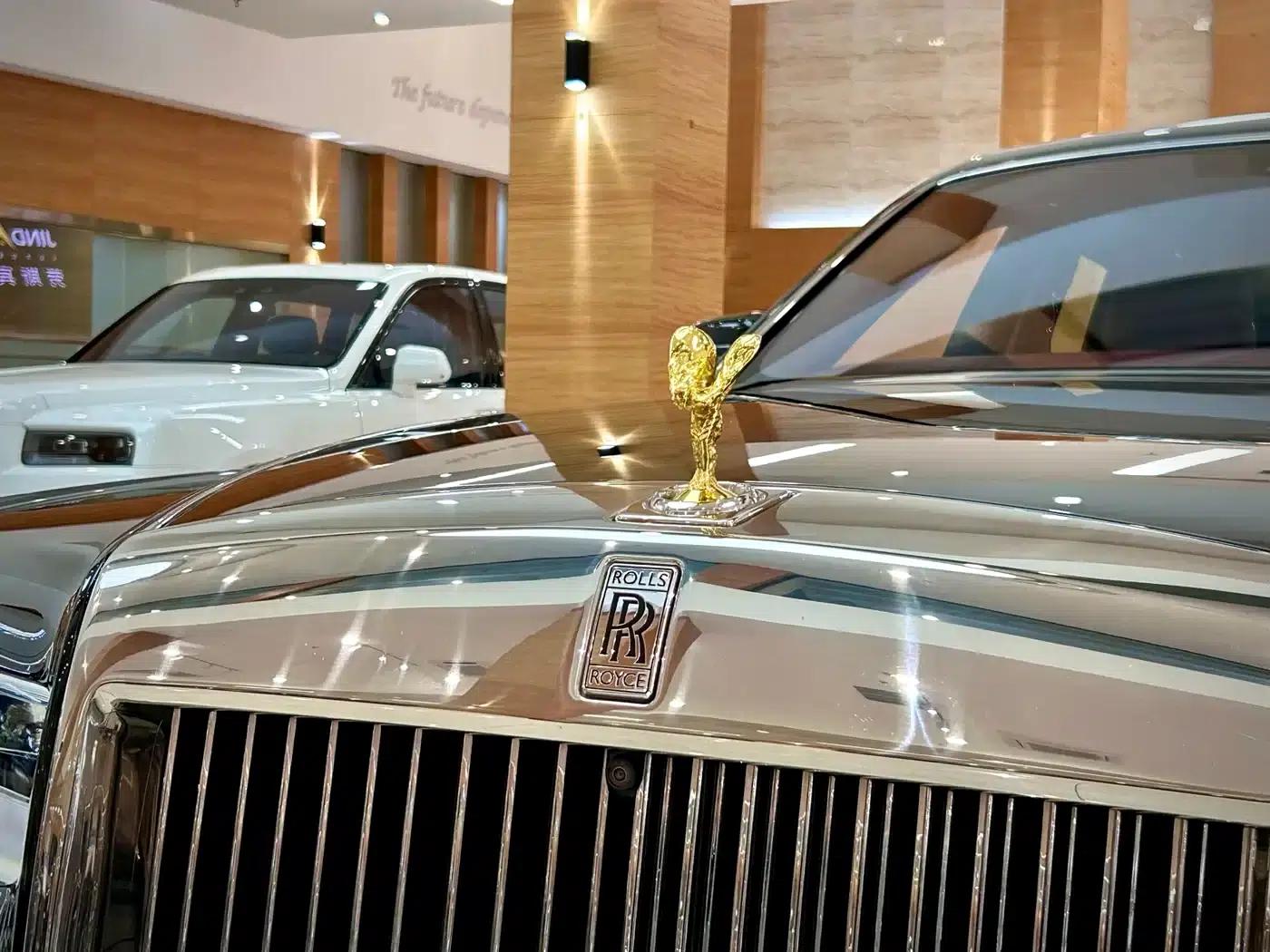 2018 Phantom 6.7T Standard Wheelbase — миниатюра 24
