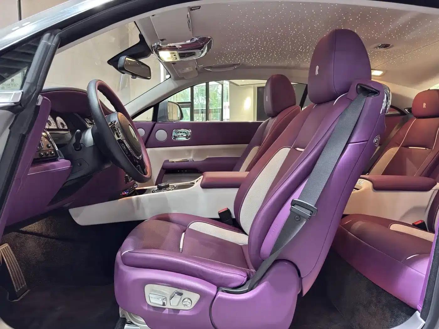 2018 Phantom 6.6T Standard Edition — миниатюра 13