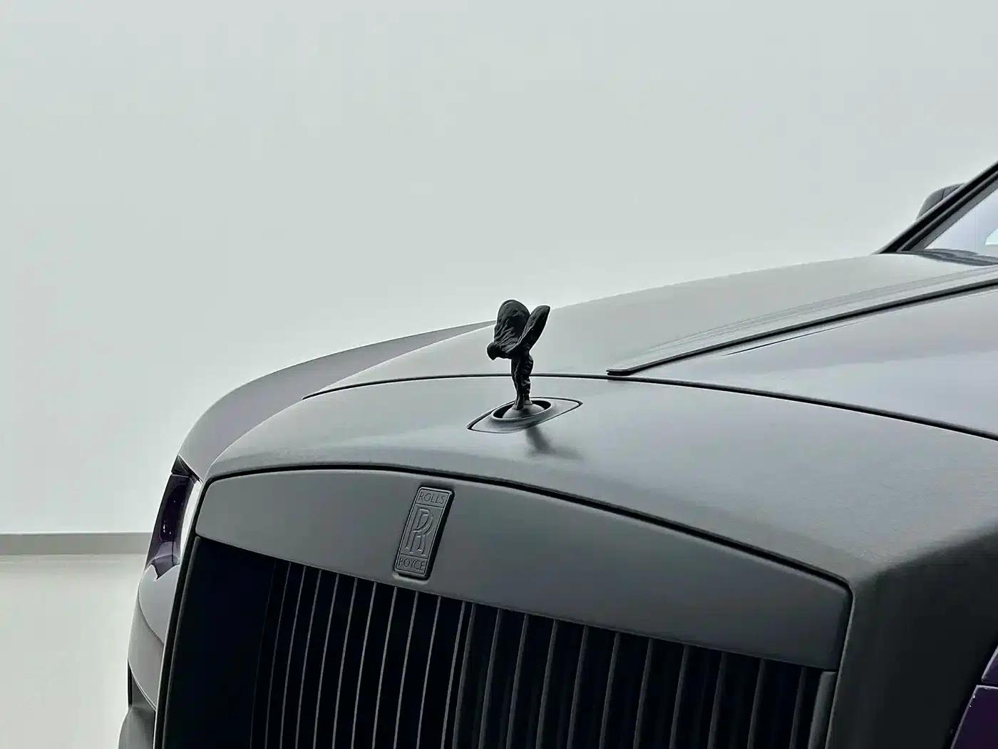 2018 Phantom 6.6T Standard Edition — миниатюра 13