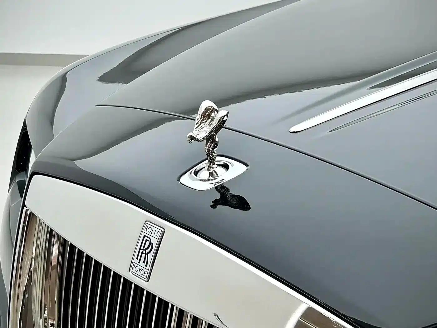 2018 Dawn 6.6T Standard Edition — миниатюра 6