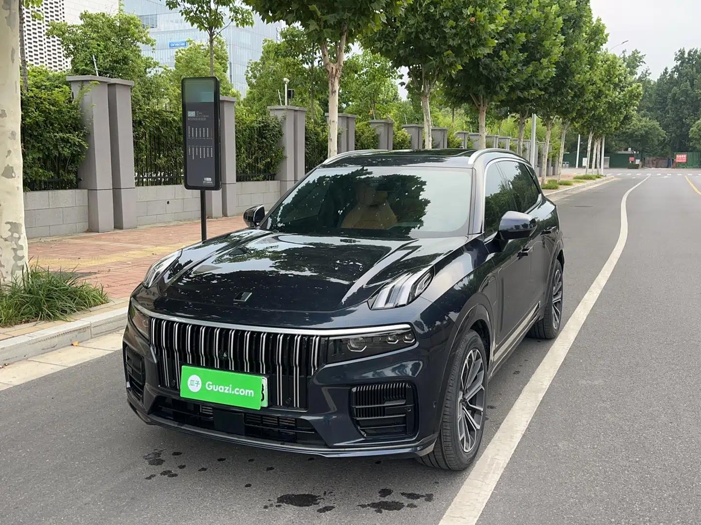 Lynk & Co 09 EM-P 2023 2.0TD EM-P Four-Wheel Drive Asian Games Executive Edition Five Seats — миниатюра 1
